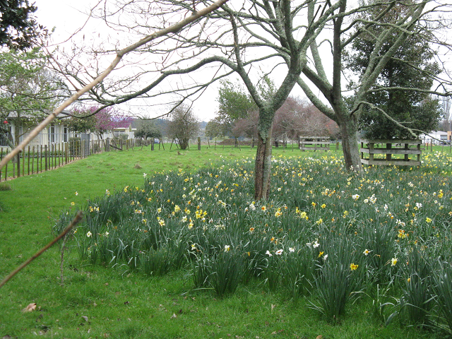 Payne Park-  Cambridge Tree Trust